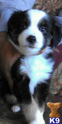 karenmnz Picture 2